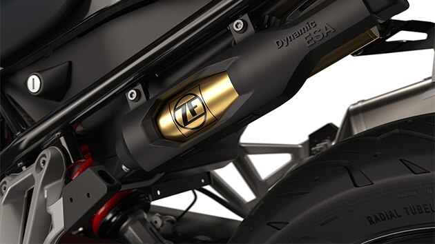The Dynamic ESA of the F 800 GS